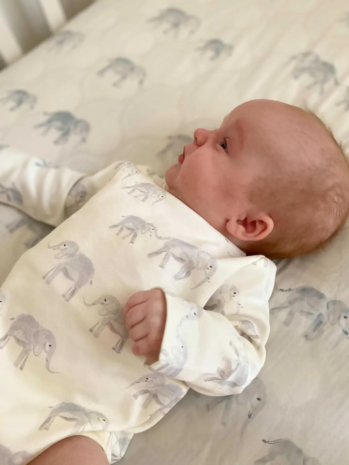PEHR Shoulder Snap One-Piece, Follow Me Elephant | 100% Organic Cotton Baby Bodysuit | Easy Snap Closure | Sizes 0-18 Months