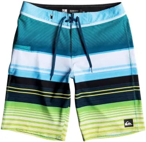 Quiksilver Men's Everyday Stripe Vee 21 Boardshort