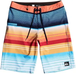 Quiksilver Men's Everyday Stripe Vee 21 Boardshort
