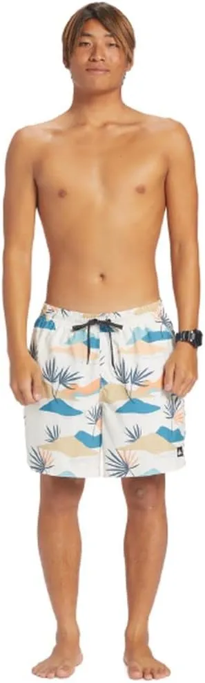 Quiksilver Men's Standard Everyday Mix Volley 17 Boardshort Swim Trunk