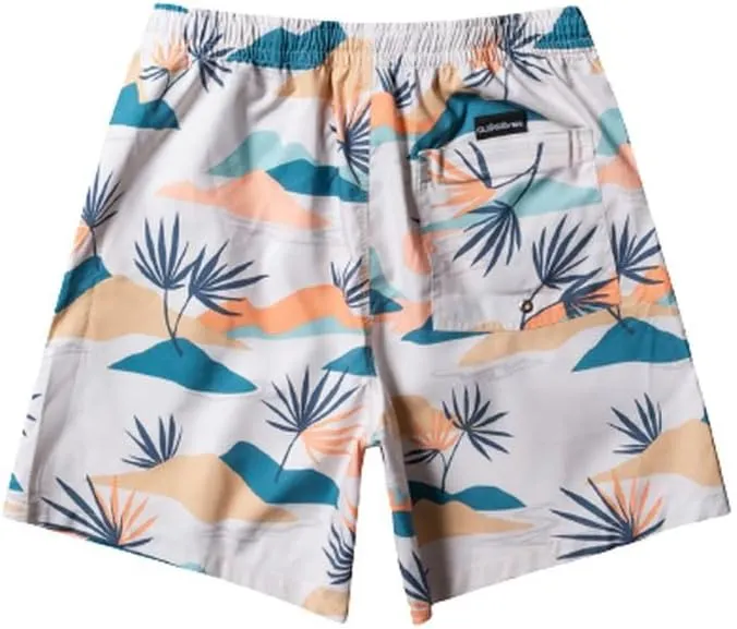 Quiksilver Men's Standard Everyday Mix Volley 17 Boardshort Swim Trunk