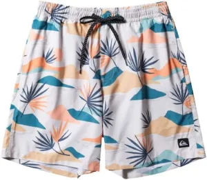 Quiksilver Men's Standard Everyday Mix Volley 17 Boardshort Swim Trunk