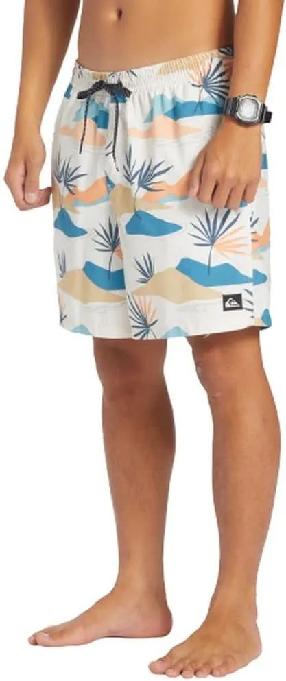 Quiksilver Men's Standard Everyday Mix Volley 17 Boardshort Swim Trunk