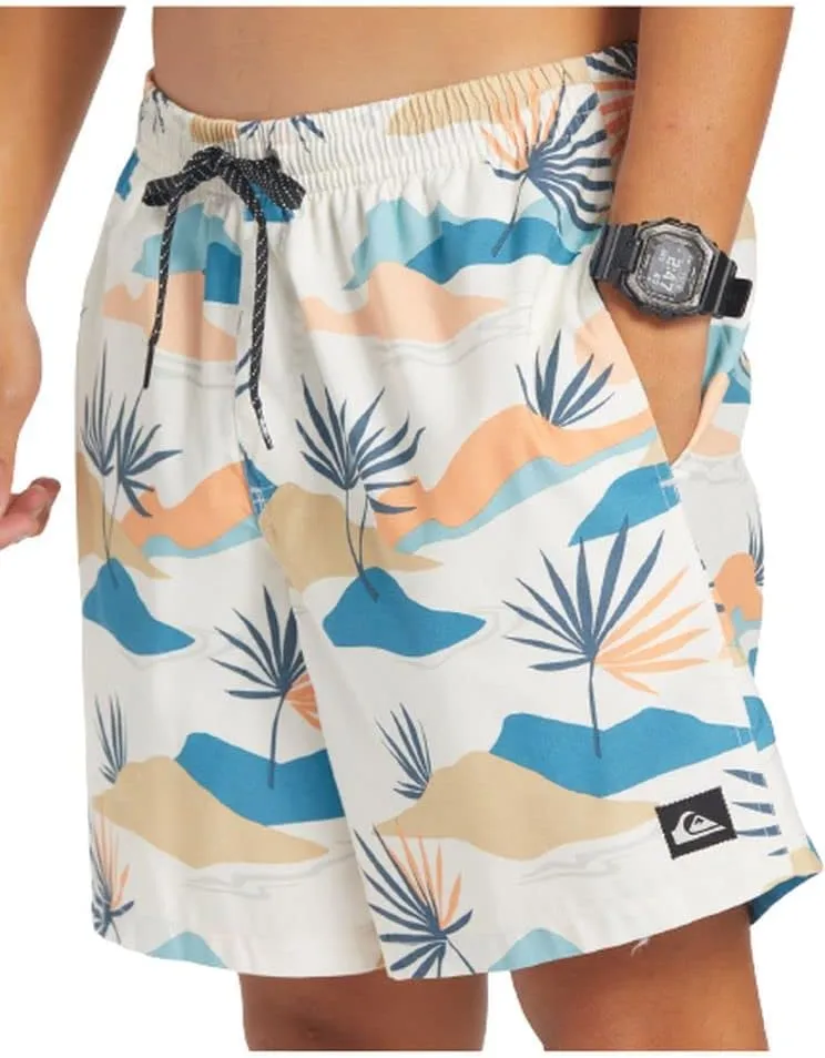 Quiksilver Men's Standard Everyday Mix Volley 17 Boardshort Swim Trunk